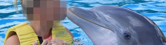 Varje dag lider delfiner i fångenskap – bara för att underhålla turister. TUI Group, ett av världens största reseföretag, bidrar till det här utnyttjandet. Hjälp oss att få TUI på bättre, djurvänliga tankar!