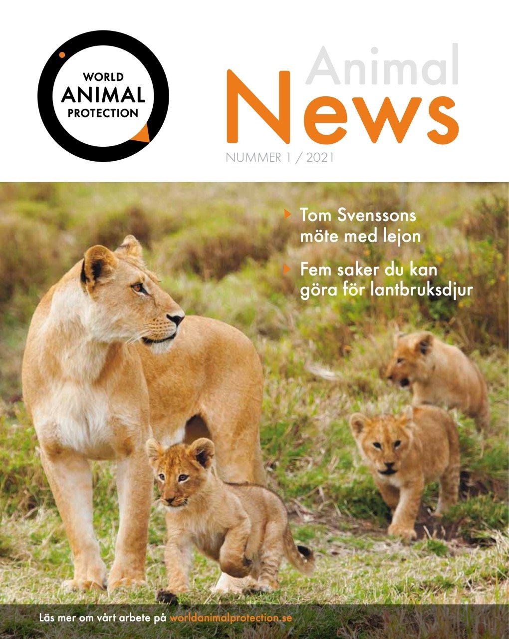 Animal News