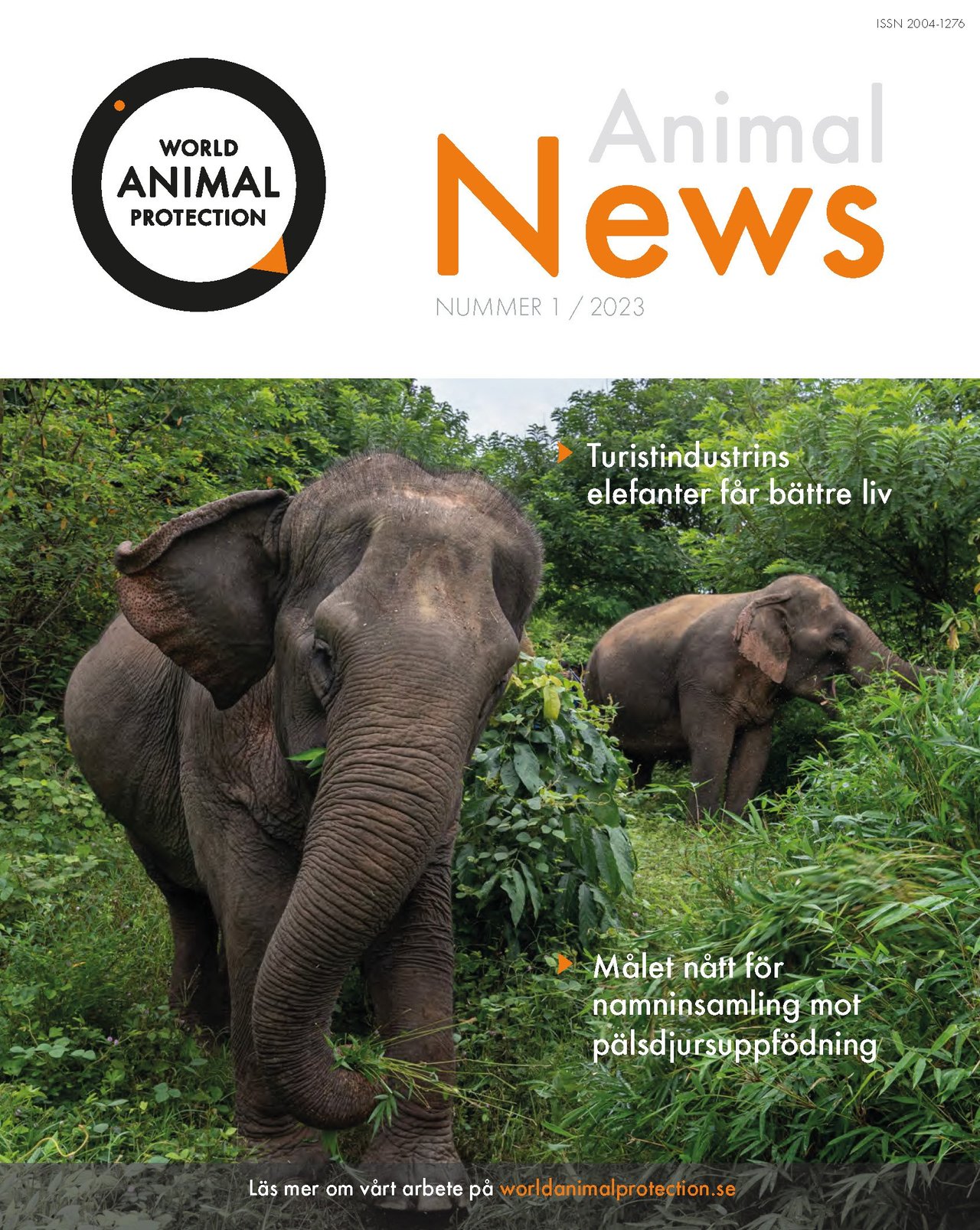 Vår tidning   Animal News Två gånger per år får våra Animal Protectors och andra gåvogivare tidningen Animal News, som berättar om vårt arbete. Läs det senaste numret av vår tidning nedan. Vi har även samlat tidigare nummer längre ner på sidan.