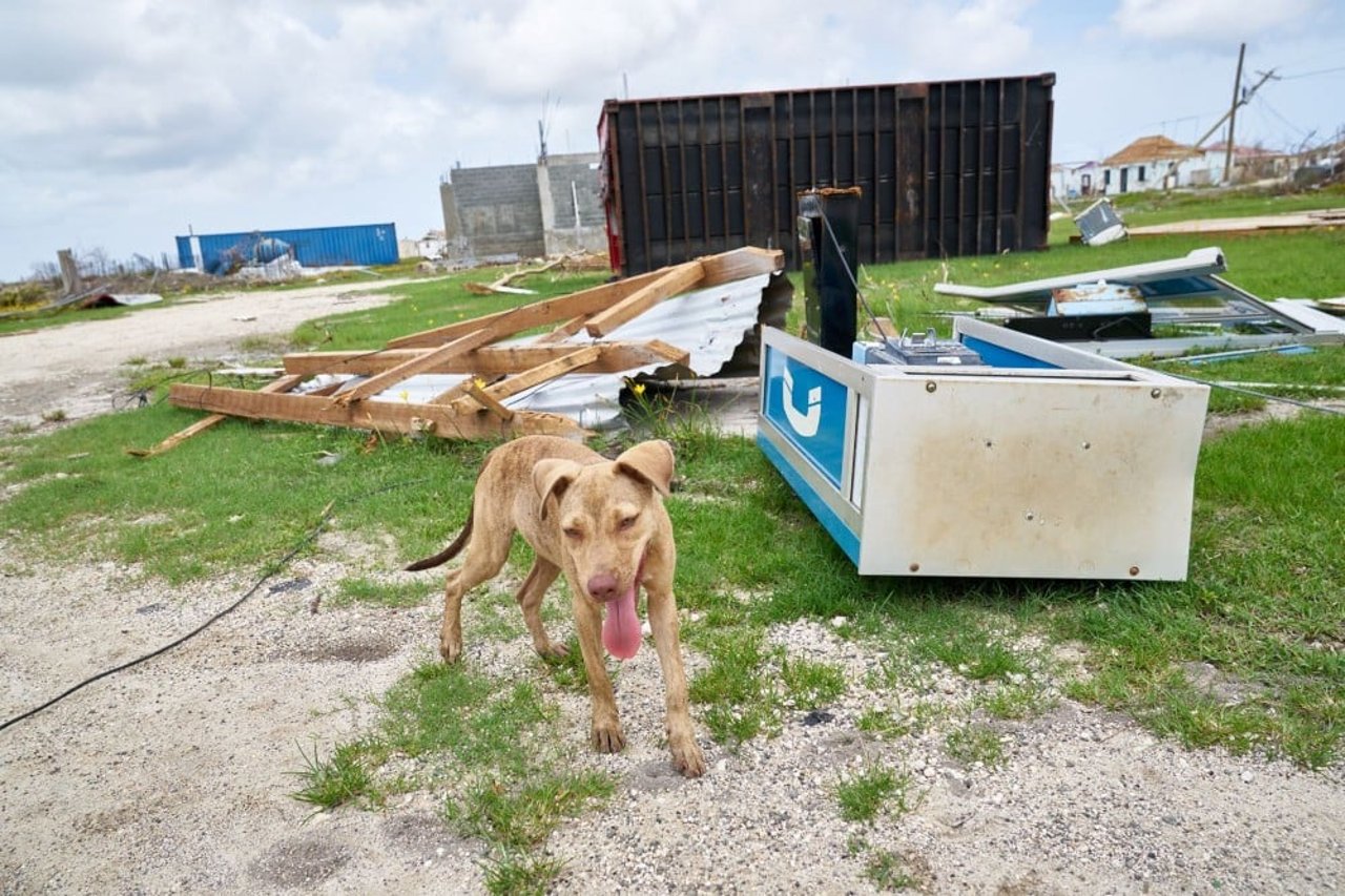 -20170913_antigua_barbuda_1081402