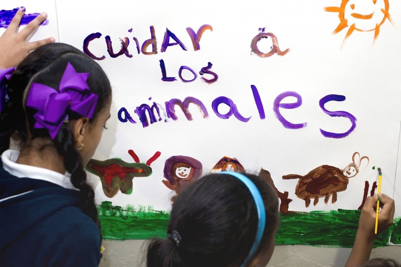 Tre elever har skrivit “Ta hand om djuren”