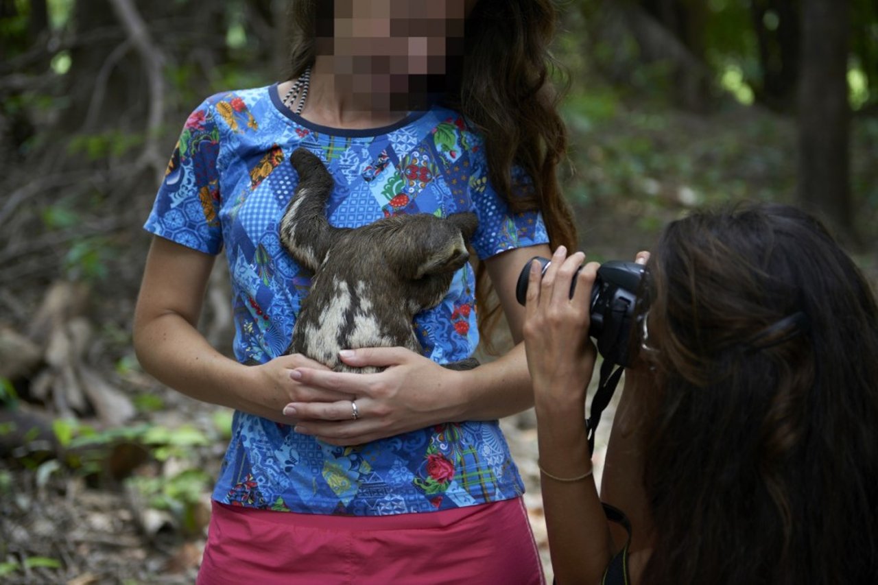 Turist tar selfie med ett vilt djur 