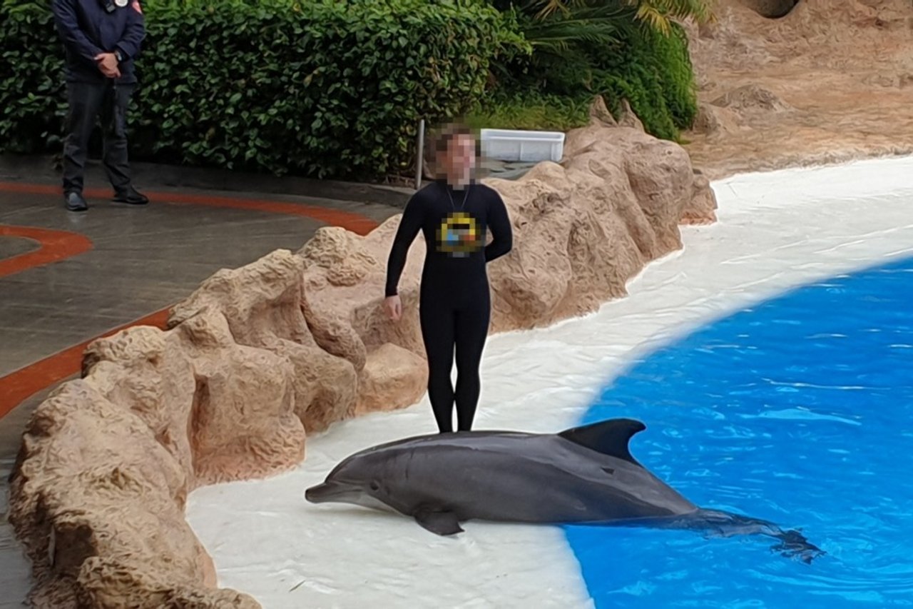 Delfinarium Kolmården. Foto: Tom Svensson