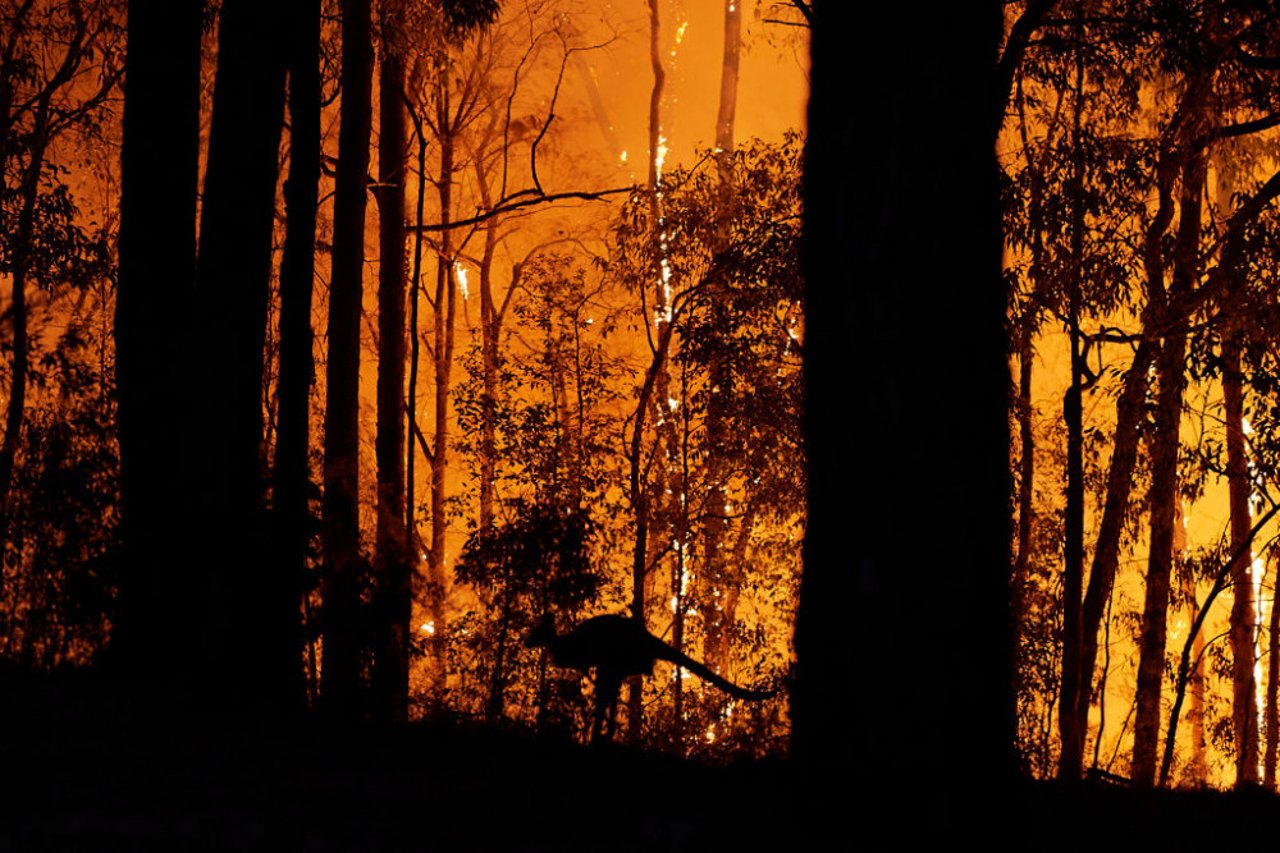 Bränderna i Australien