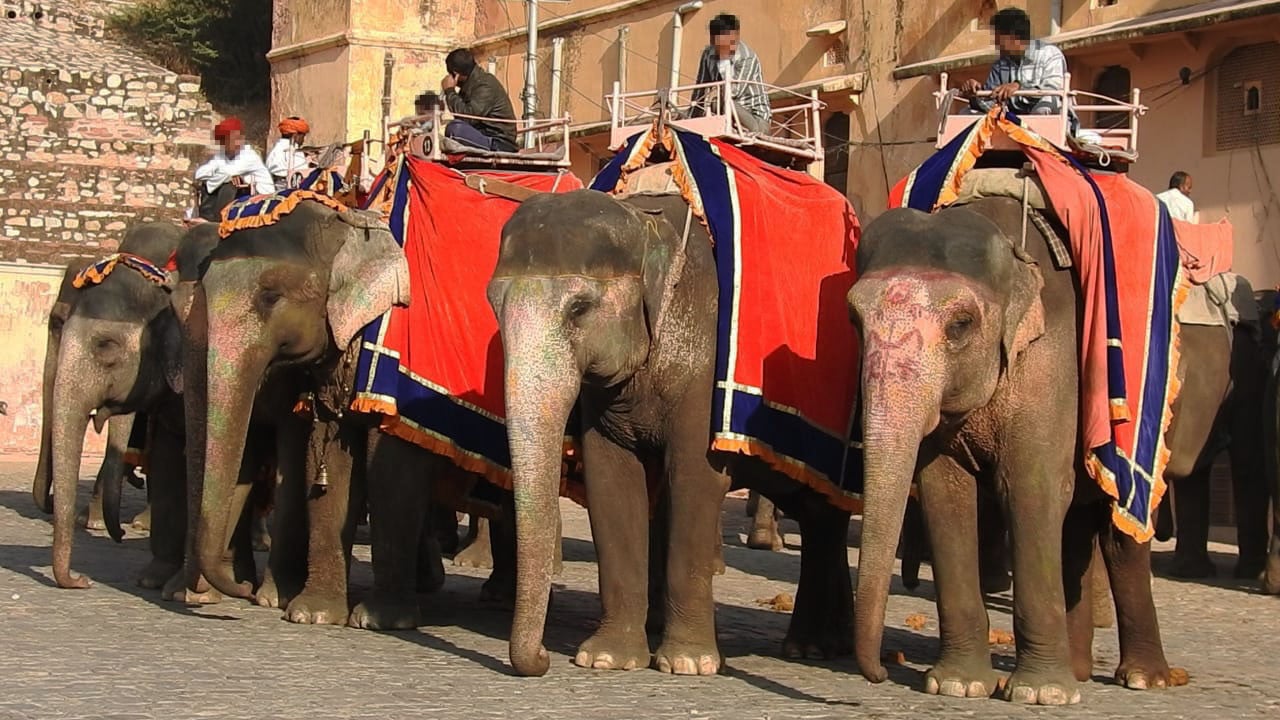 Elektriska bilar ersätter elefantridning