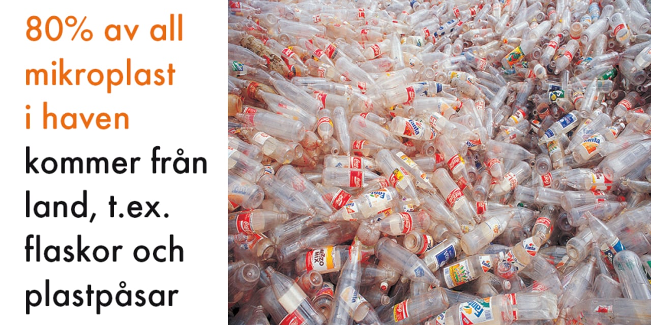 bottles_microplastics-se