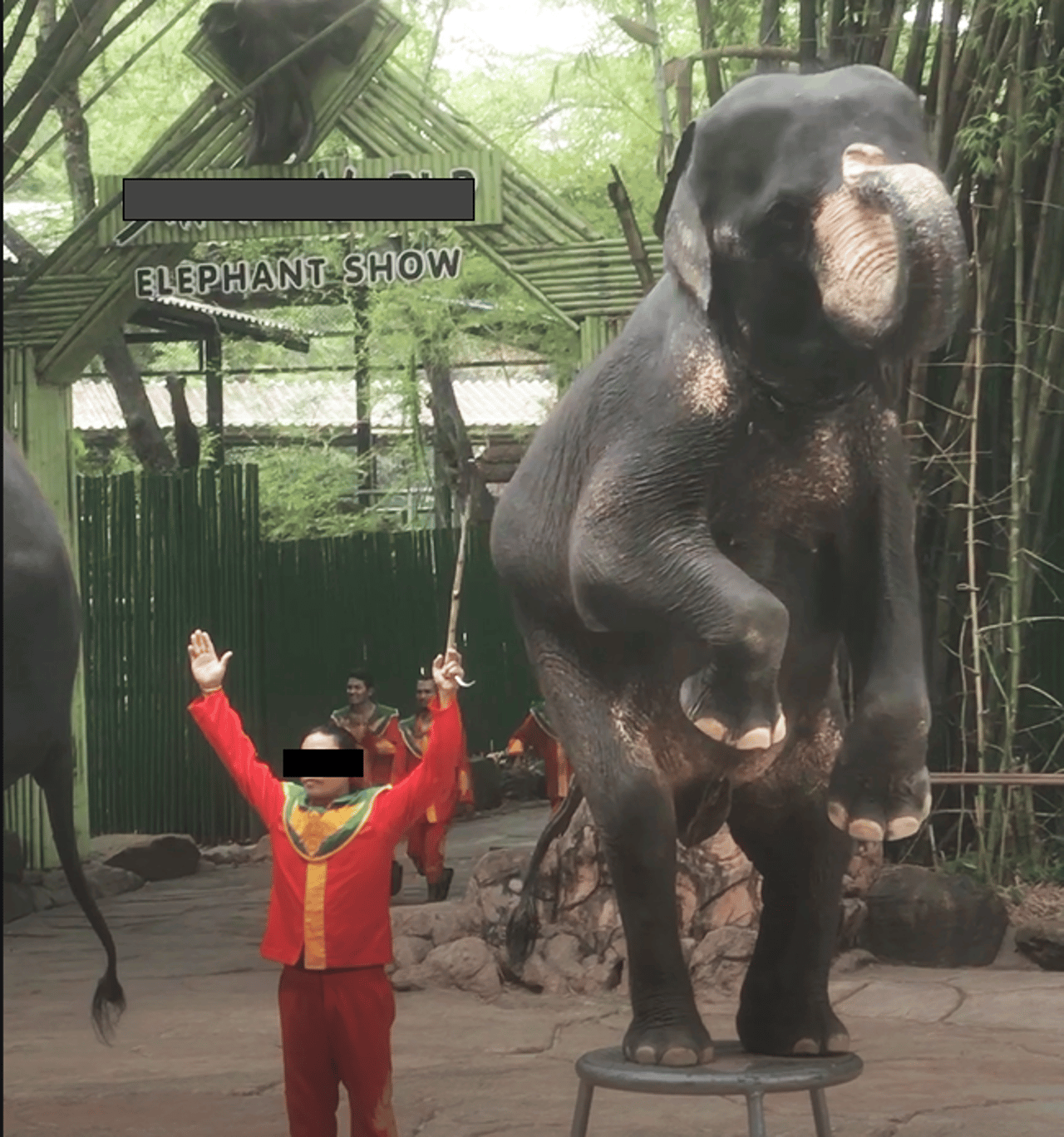 img_0120_elephant_show_thailand_2