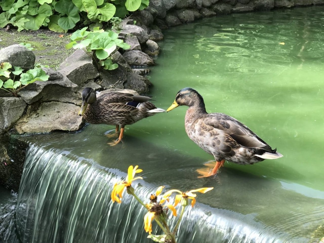 Stadsparken i Lund 