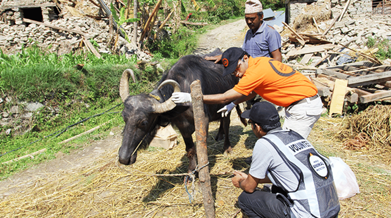 incontext-nepal-062015