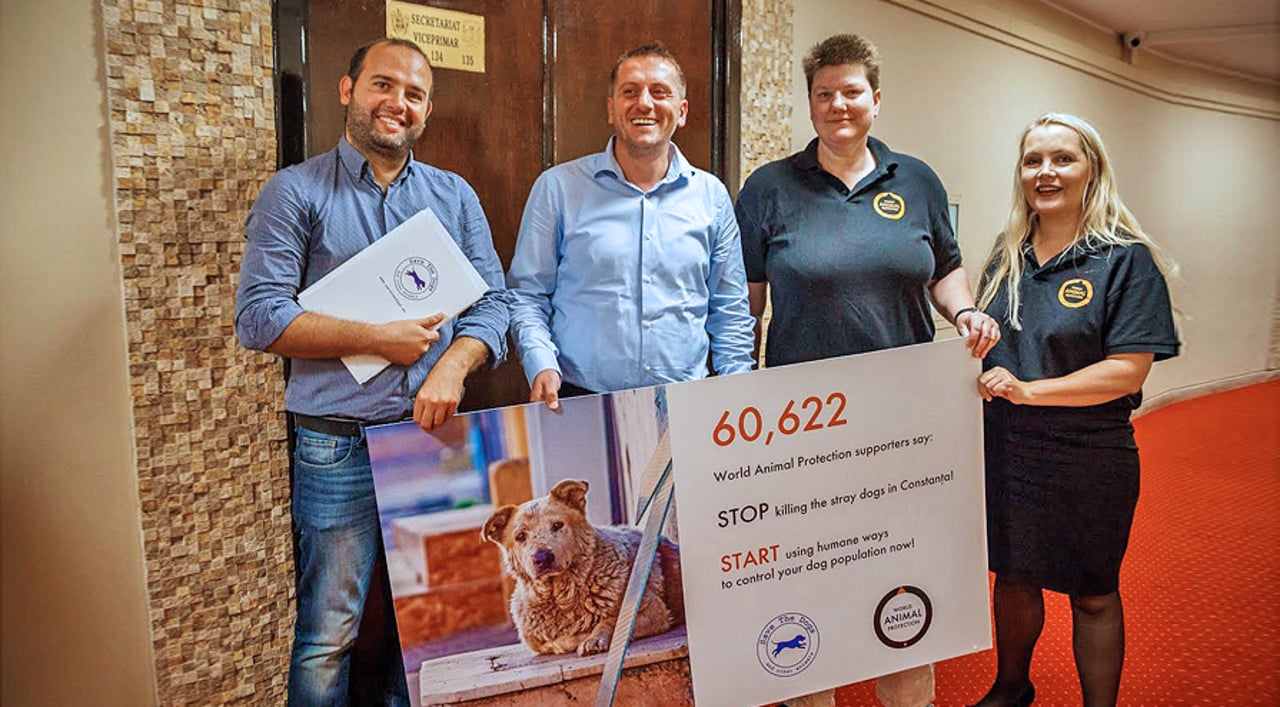 overraekkelse-savethedogs-guvernoer-worldanimalprotection