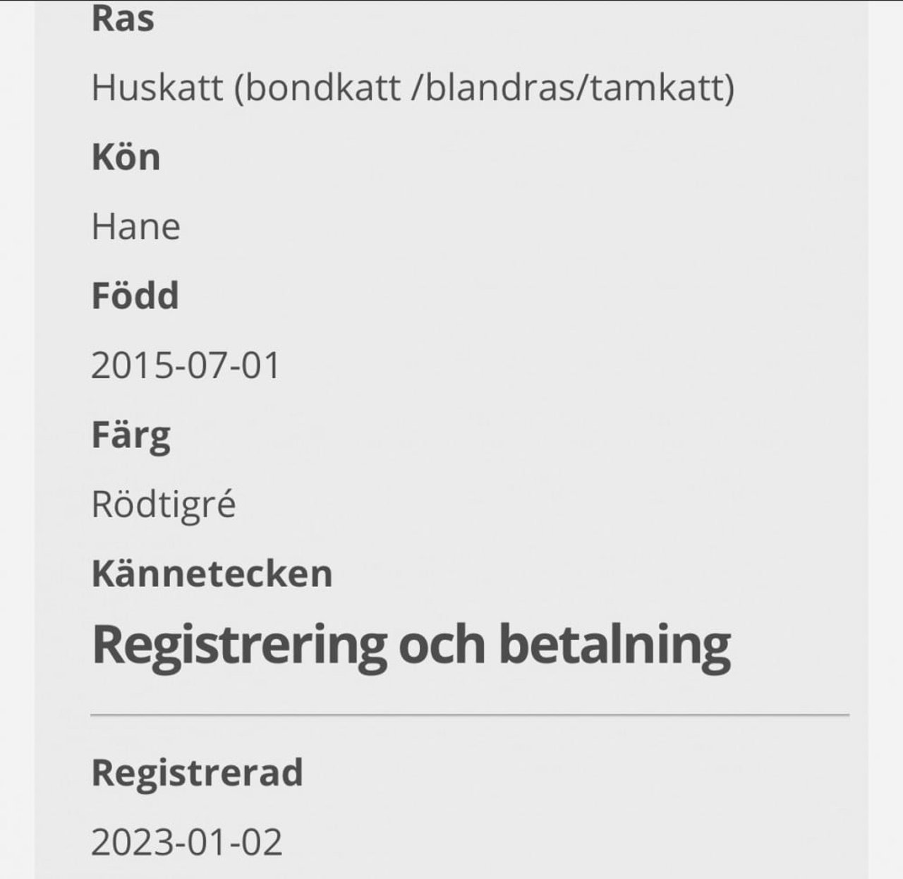 Katt registrering