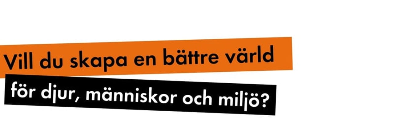 Vill du skapa en bättre värld för djur, människor och miljö?