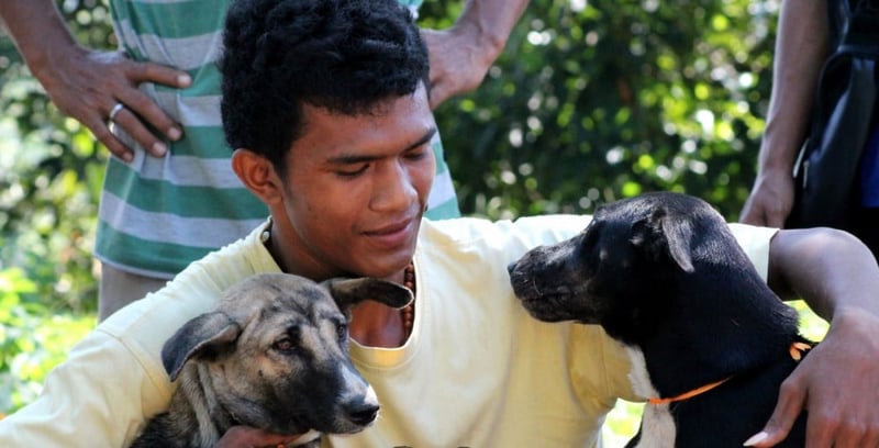 A man with his two recently vaccinated dogs in Flores, Indonesia