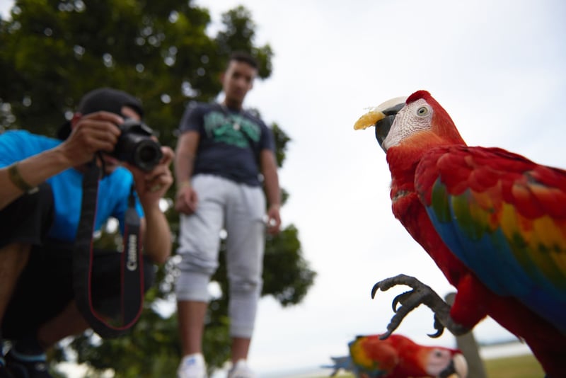 Turister i amazonas tar selfie med papegoja