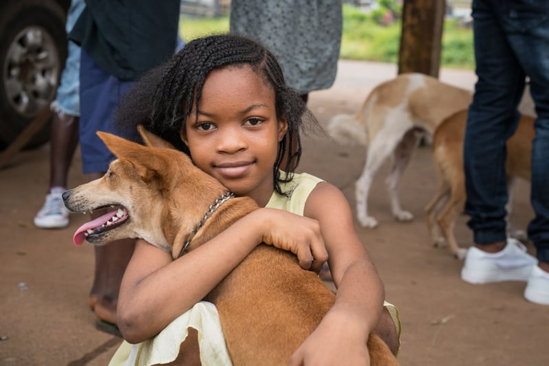 Pressmeddelande: Arbete för världens hundar fortsätter i Sierra Leone