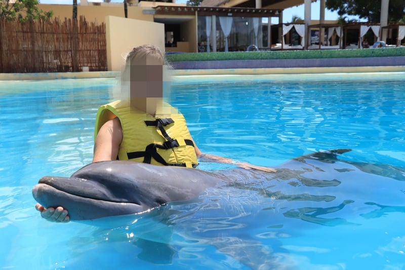 Miljardindustrin kring delfiner i fångenskap bygger på lögner
