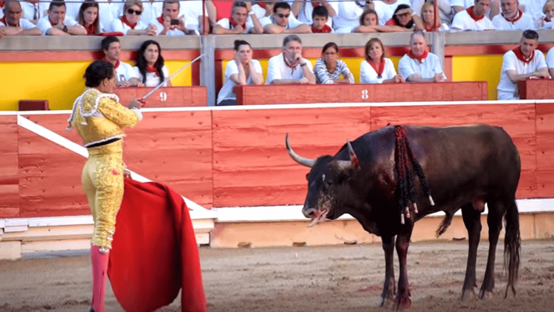 Blodig tjurrusning i Pamplona