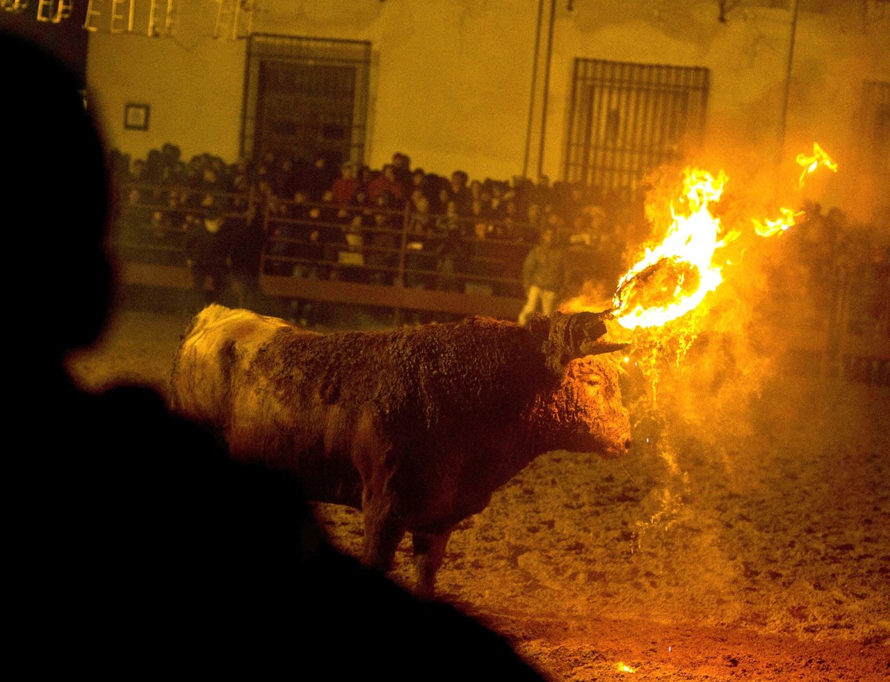 Över 110 000 protesterar mot brinnande tjurar