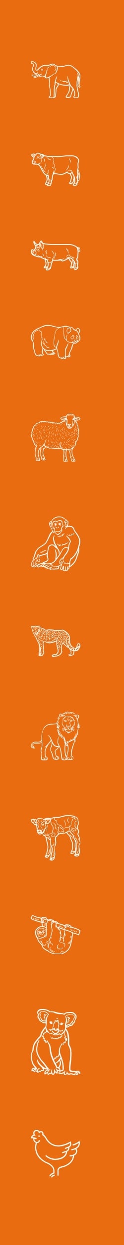 75-årsjubileum för World Animal Protection