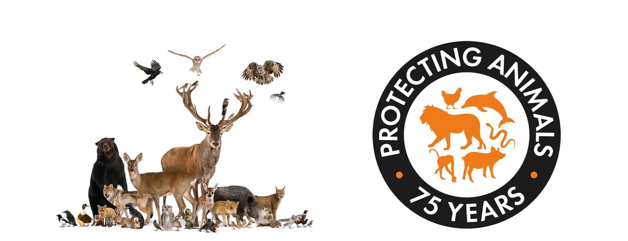 75-årsjubileum för World Animal Protection