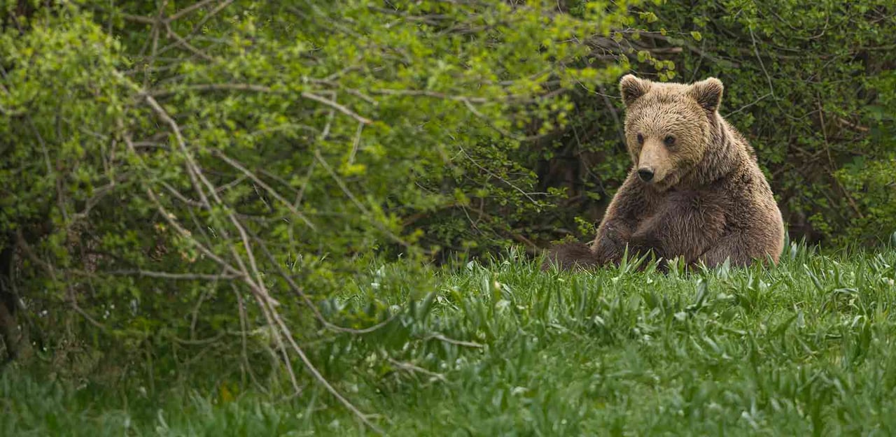 Ansvarig för digitala kanaler och hemsida