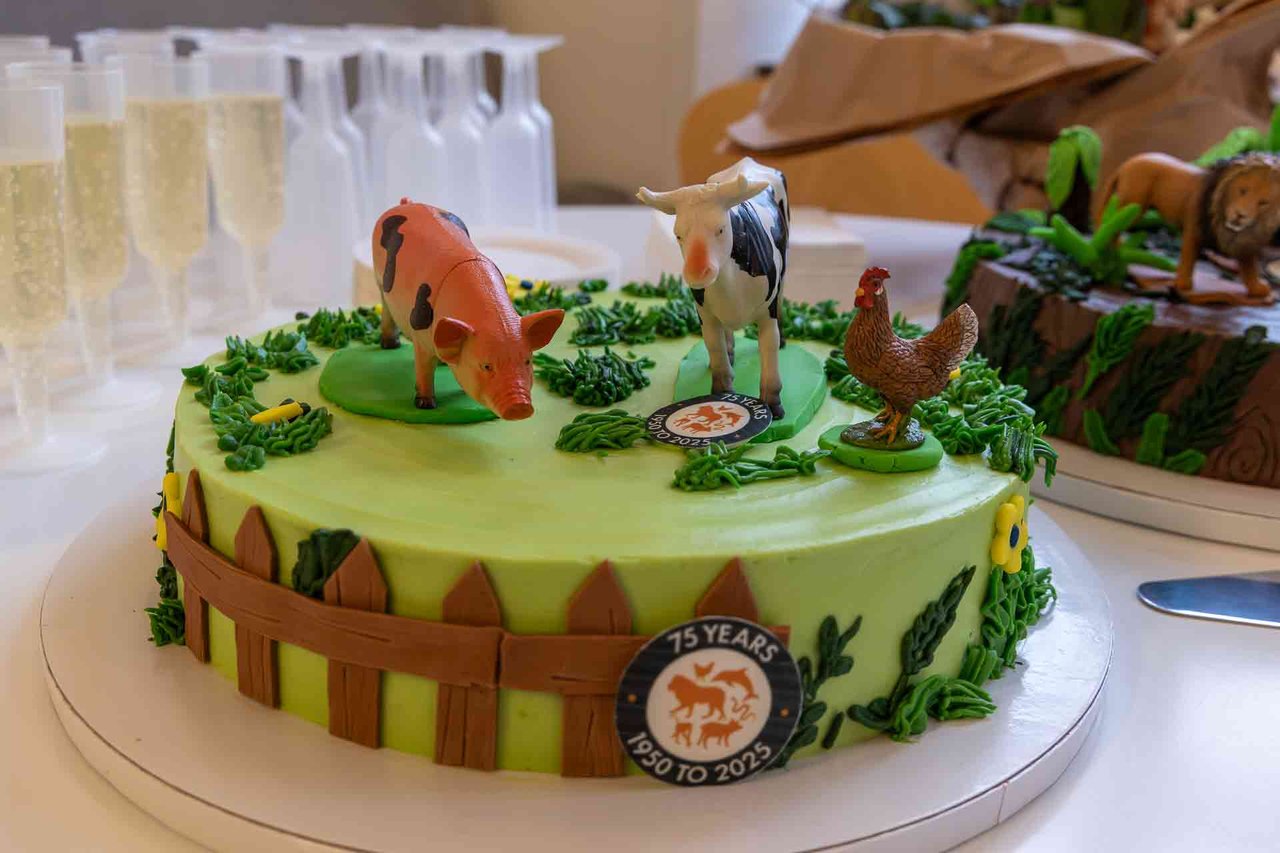 Jubileumsfirande med musik och bok