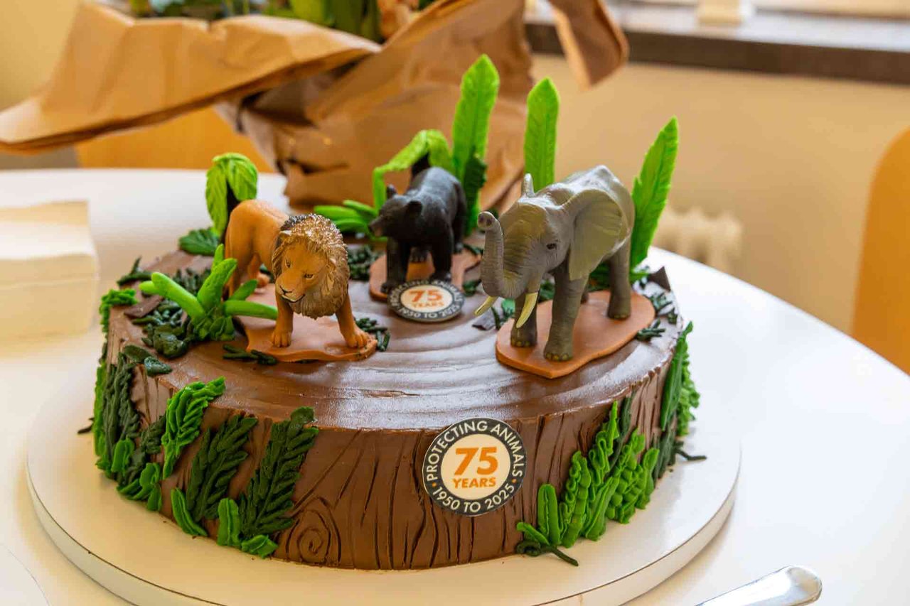 Jubileumsfirande med musik och bok