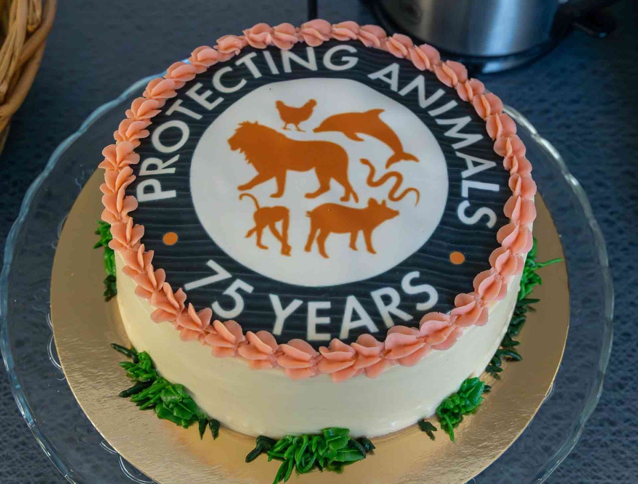 Jubileumsfirande med musik och bok