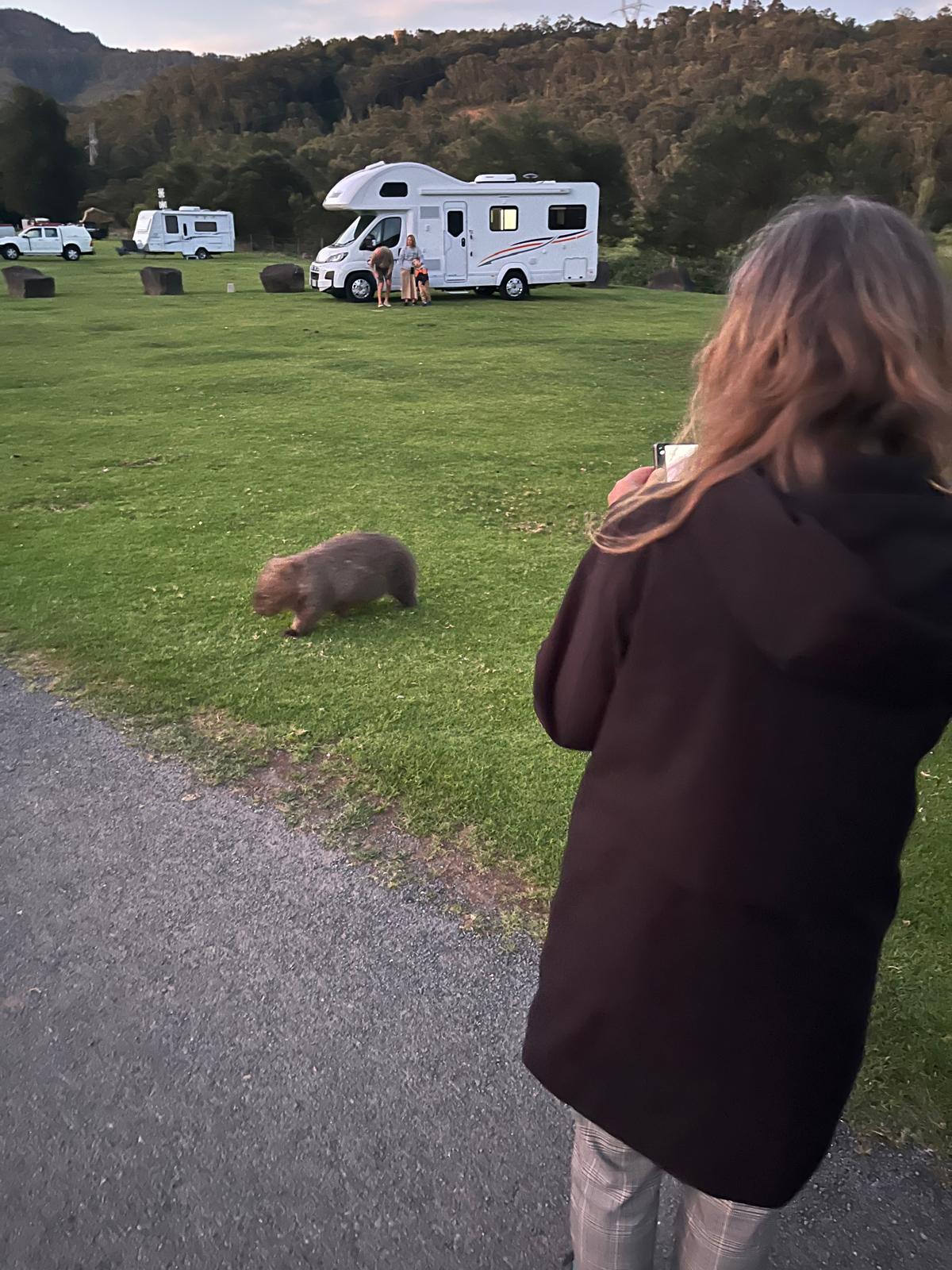 Karin Gunnarsson, styrelseledamot i svenska World Animal Protection