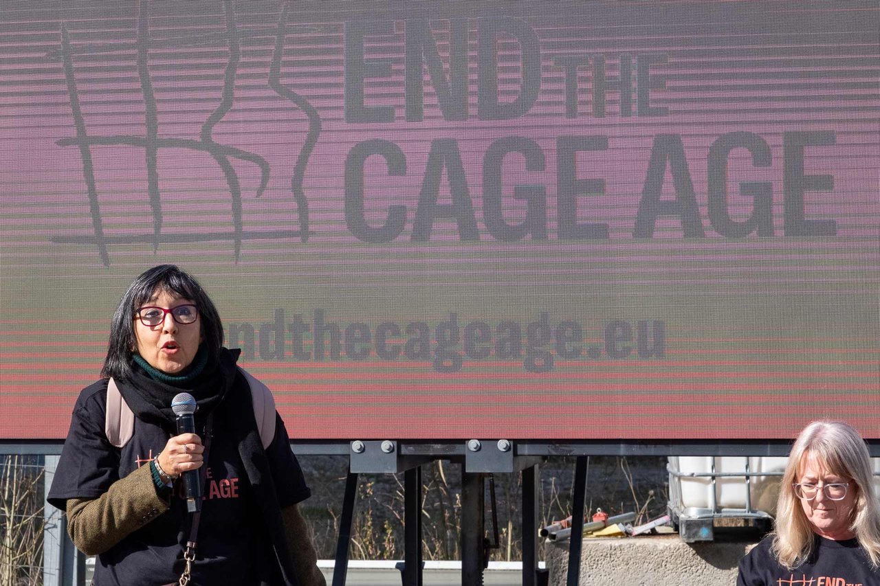 End the cage age (ETCA) - Foto: Roger Pettersson