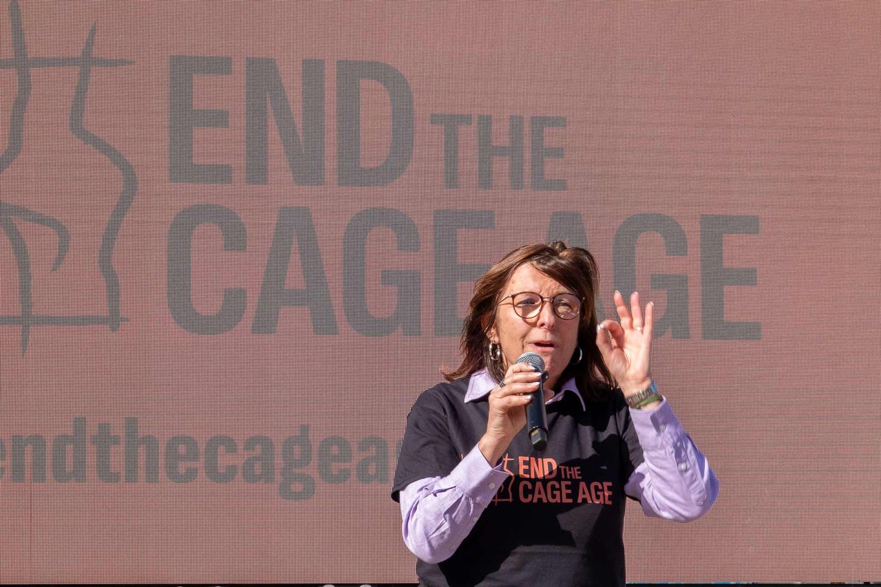 End the cage age (ETCA) - Foto: Roger Pettersson