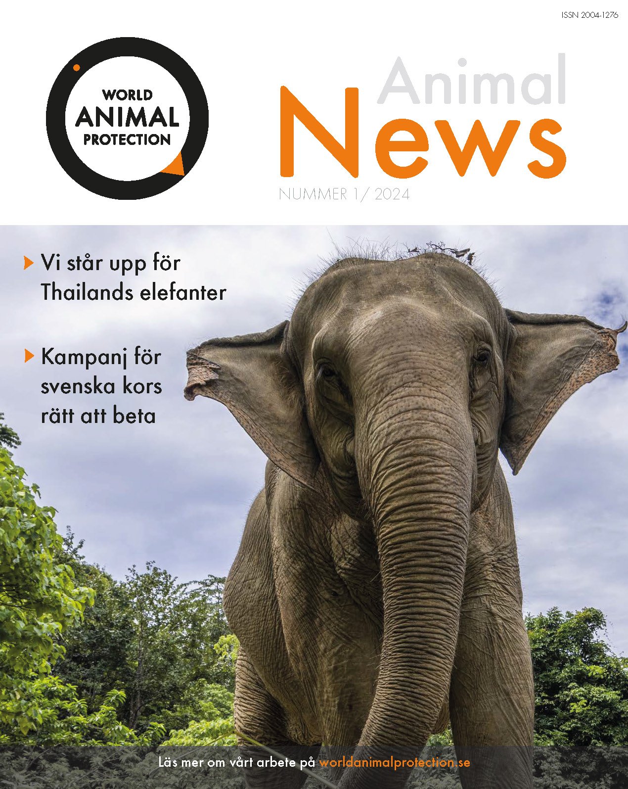 Animal news vår / sommar 2024