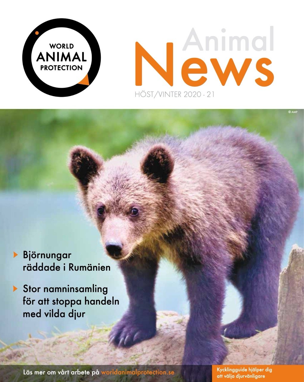 Animal News