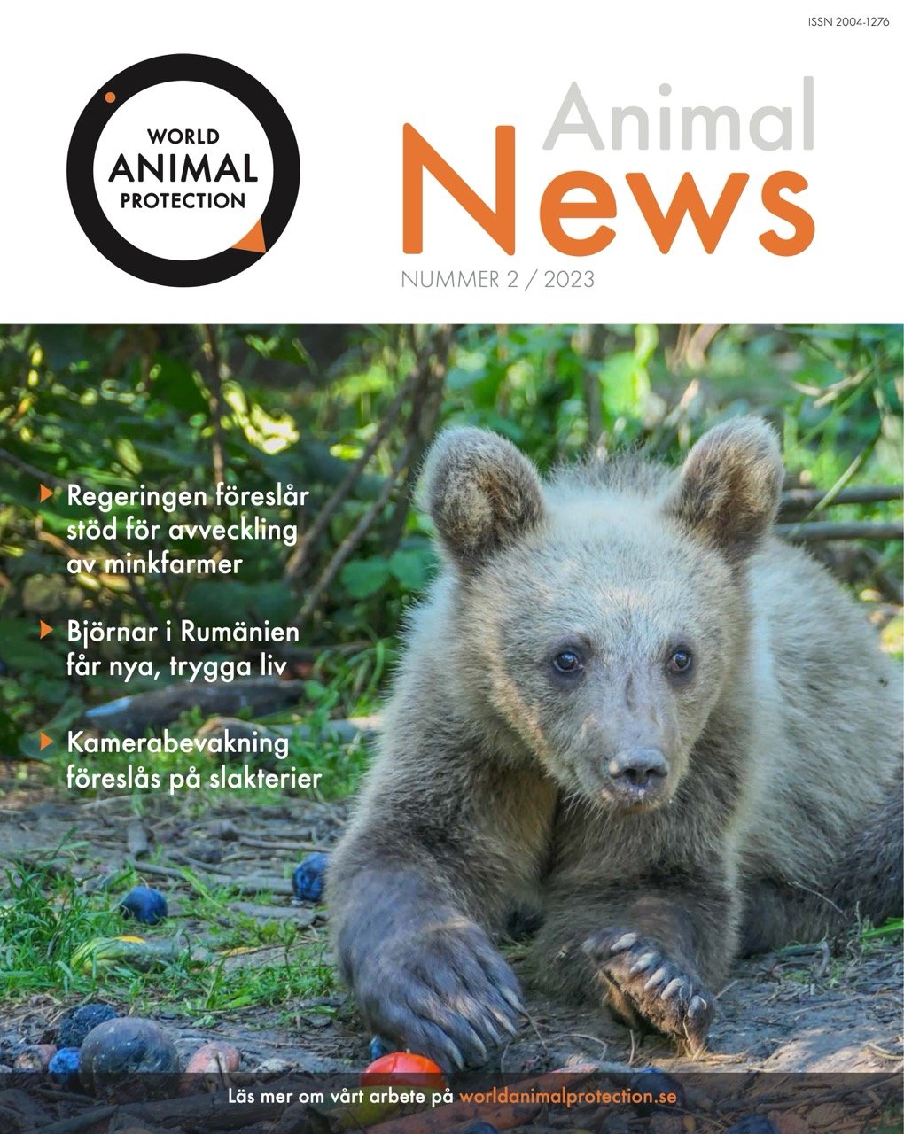 Animal News