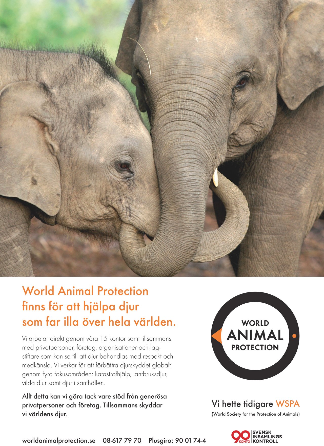 World Animal Protection Sweden - Affischer