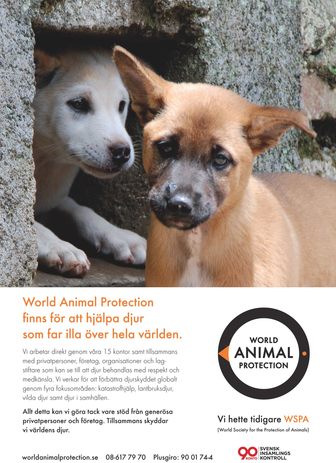 World Animal Protection Sweden - Affischer