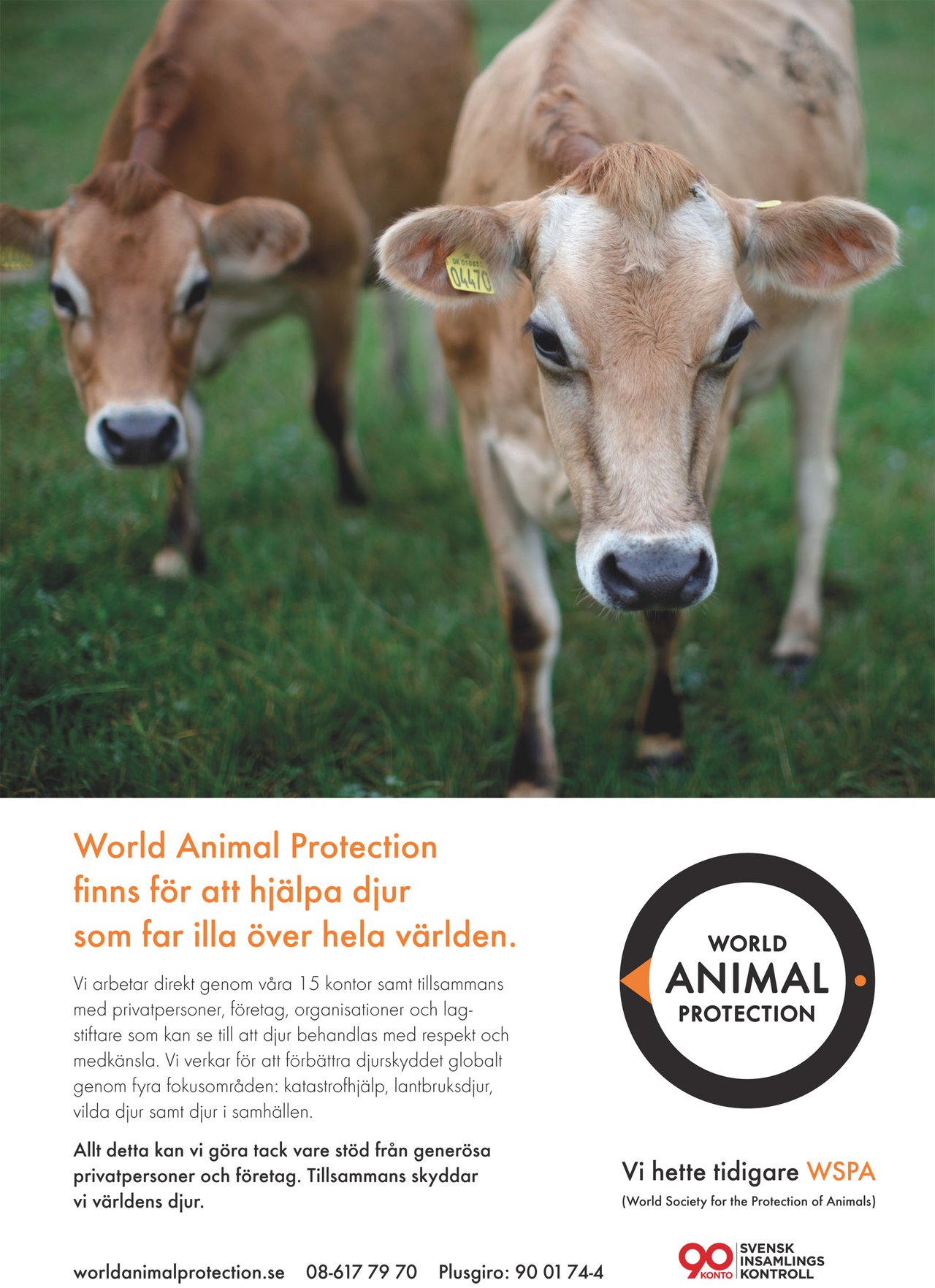 World Animal Protection Sweden - Affischer