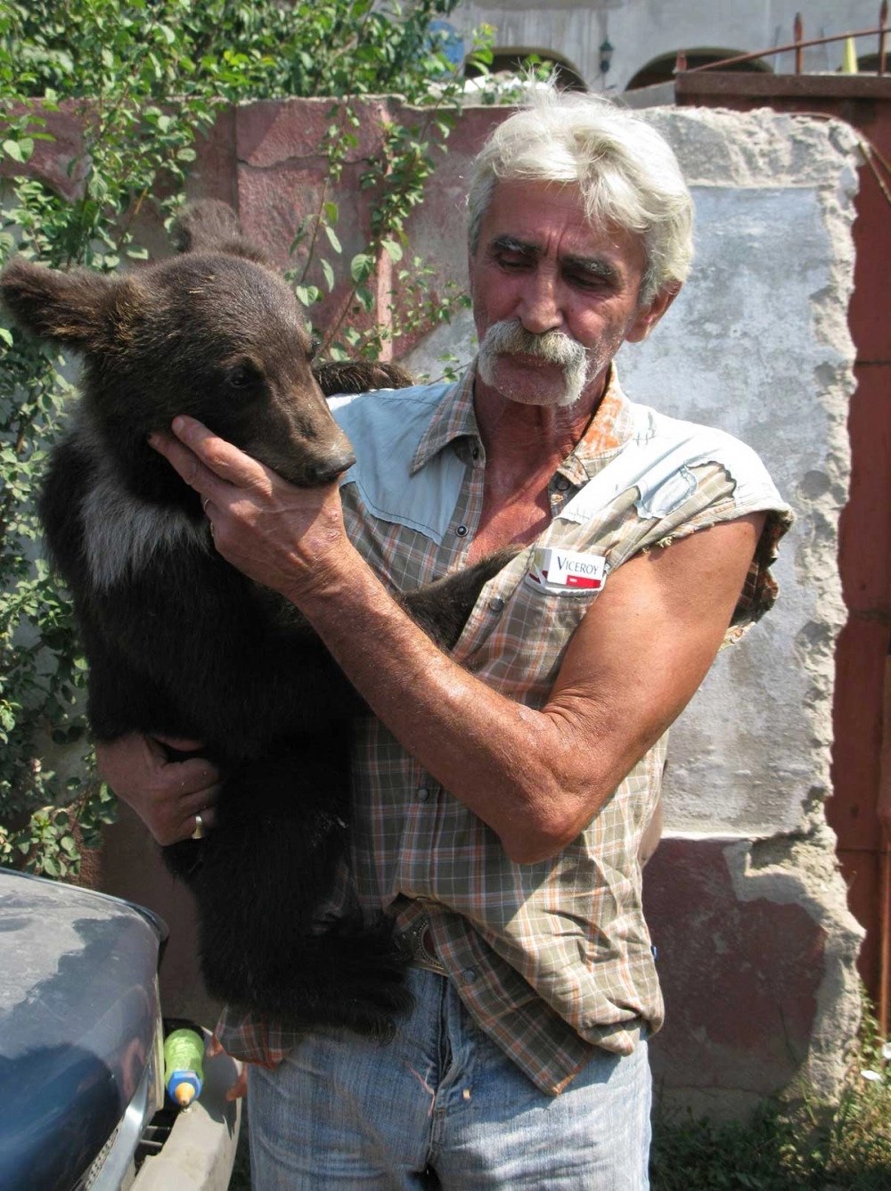 Baloo