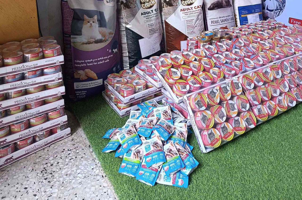 Krigsdrabbade hundar och katter får hjälp