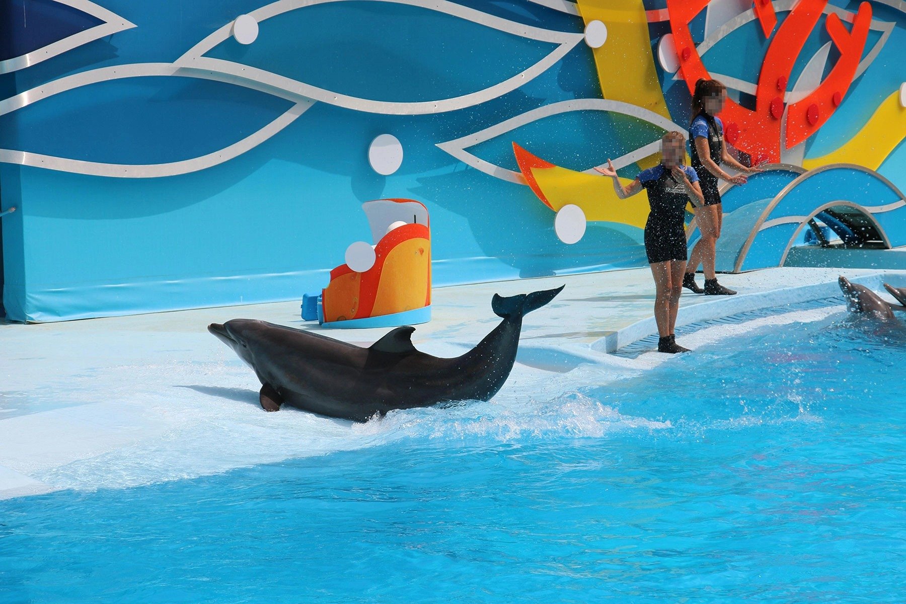 TUI tjänar pengar på delfinernas lidande