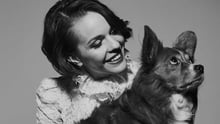 Isabella Lundgren tar ställning för djuren - Foto: Elvira Glänte
