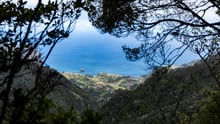 Madeira – en djurvänlig oas i Atlanten