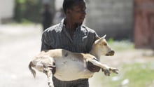 Remembering Haiti after the earthquake