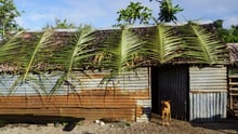 Vulkan på Vanuatu skapade oro för djurägare