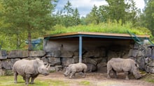 Din guide till Sveriges djurparker