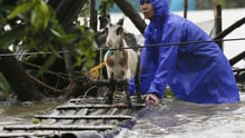 A resident reinforces his flooded home at the height of Super Typhoon Haima which lashes Narvacan township, Ilocos Sur province, Philippines - World Animal Protection