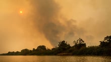 Land clearance fires