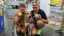 Athena the dog with two Olympic gold medallists at our dog adoption event in Rio