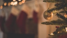 Dags för en djurvänligare jul  för djur, miljö och människor