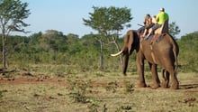 Pressmeddelande: World Animal Protection får utmärkelse för ansvarsfull turism